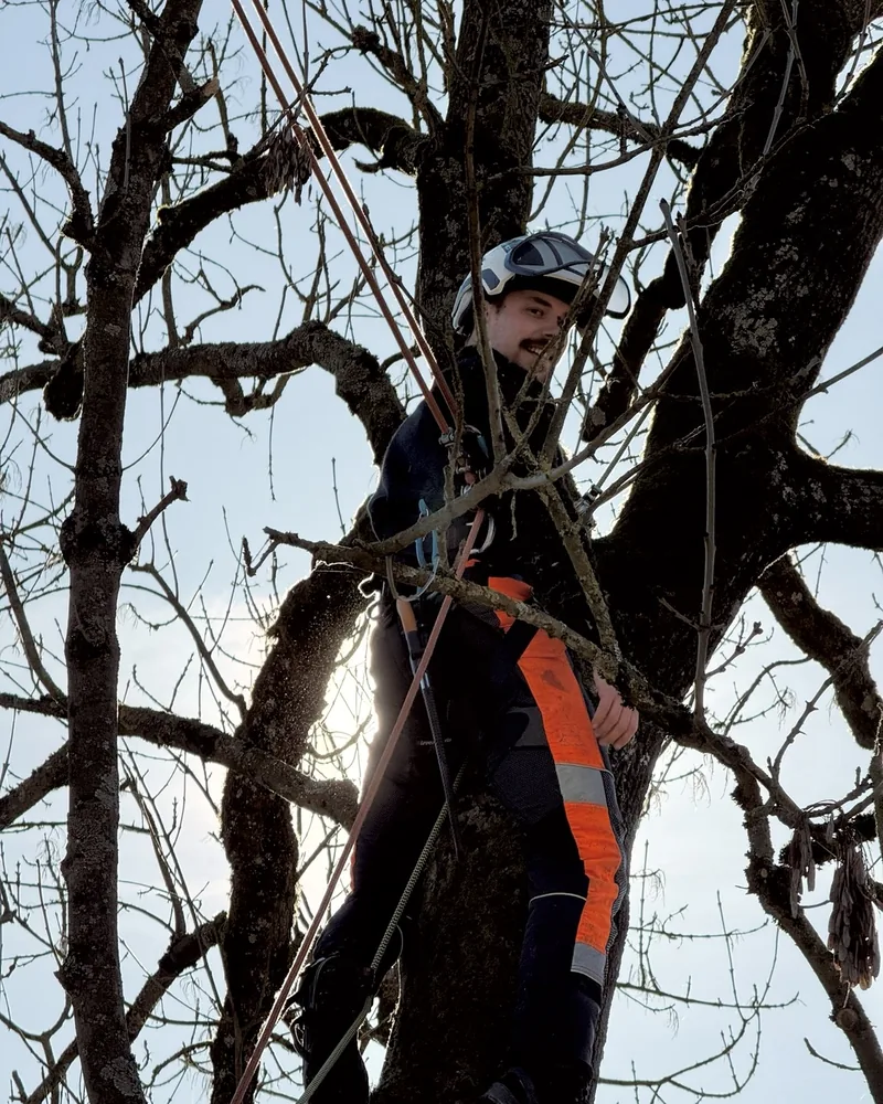 Nikolai Naber bei Arbeiten im Baum