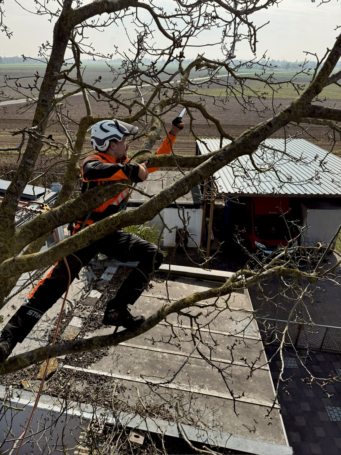 Baumpfleger bei der Baumpflege über einem Dach